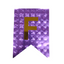 Banderín Feliz Cumpleaños Morado